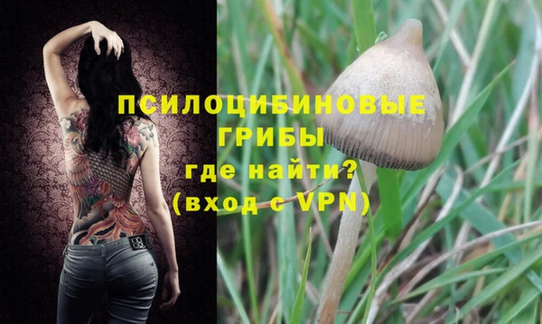 мдпв Абдулино